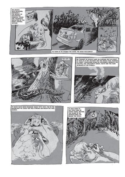 Lizard World